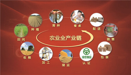 东方粮仓 有机稻谷种植研发领军者，荣膺农业产业化国家重点龙头企业