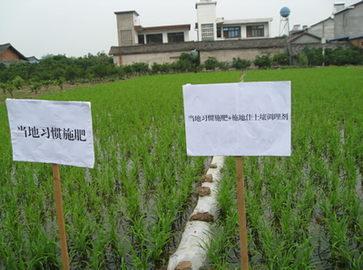 施地佳 突破传统，以创新科技引领有机稻谷种植与土壤改良新篇章