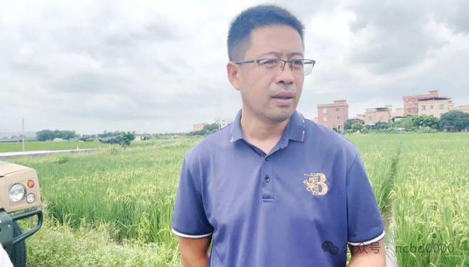 “稻虾共作”绘就生态农业新图景 罗氏沼虾亩产13000元，助力农民增产增收