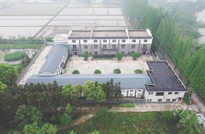 “赤壁香”满城 有机稻谷种植研发引领绿色农业新风尚