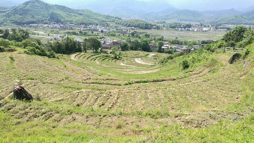 一年一季武功山有机紫米育成纪实