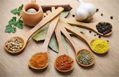 斯诺泰调味品研发 创新驱动美味升级